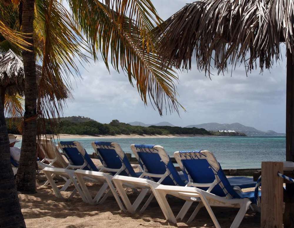Chenay Bay Beach Resort Кристианстед Природа снимка